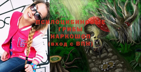 твердый Киреевск
