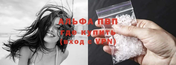 сатива Кинешма