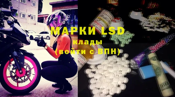 apvp Кодинск