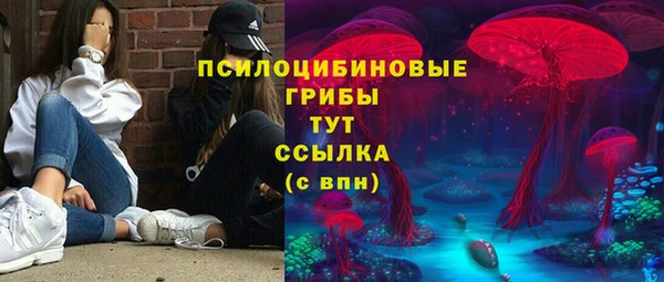 apvp Кодинск