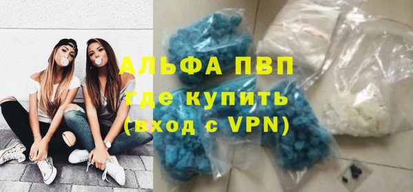 сатива Кинешма