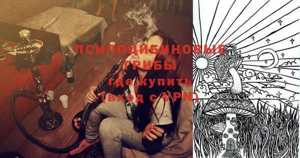 эйфоретик Козельск