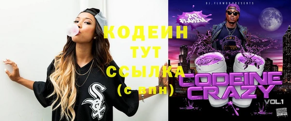сатива Кинешма