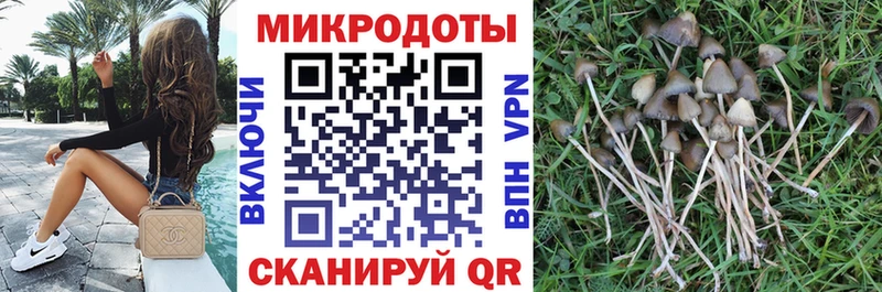 Псилоцибиновые грибы мицелий  Купить закладки  Богородицк 